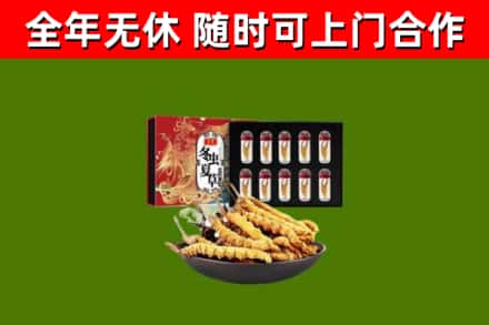 仲巴回收冬虫夏草价格