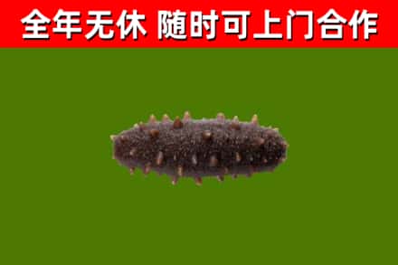 仲巴烟酒回收干海参.jpg